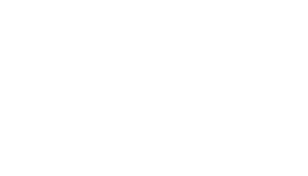 light logo